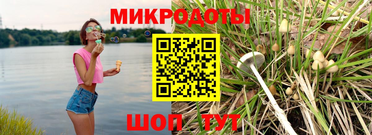 Псилоцибиновые грибы Magic Shrooms Советск