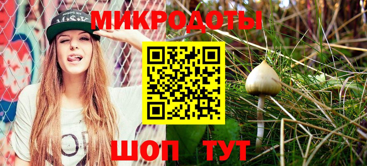 Советск  Псилоцибиновые грибы мухоморы  Вход с VPN 
